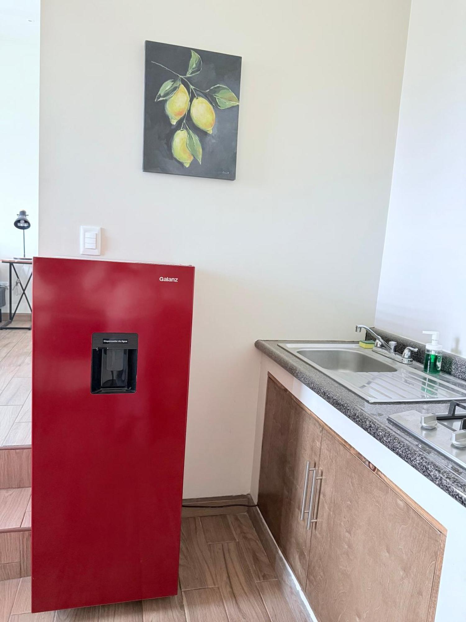Cozy, Quiet & Pet Friendly Gated Patio Studio Ensenada Dış mekan fotoğraf